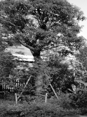 浦城注册公司